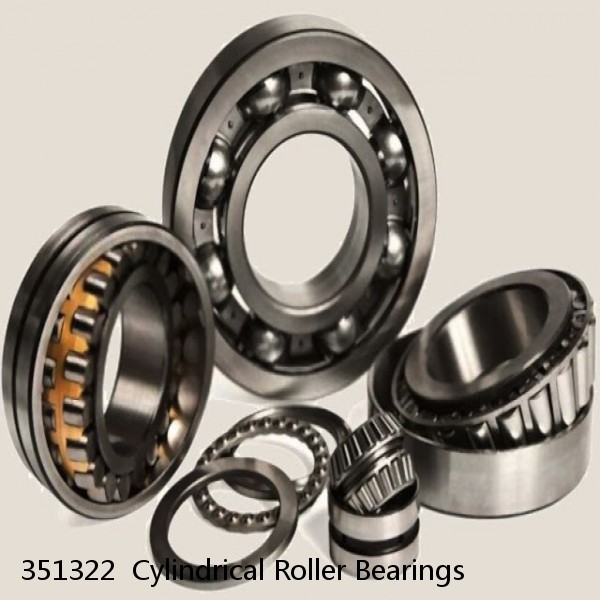 351322  Cylindrical Roller Bearings