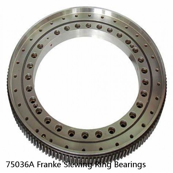 75036A Franke Slewing Ring Bearings