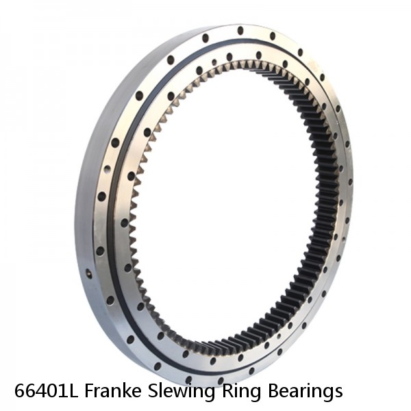 66401L Franke Slewing Ring Bearings