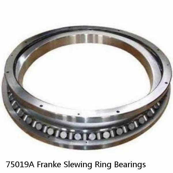 75019A Franke Slewing Ring Bearings