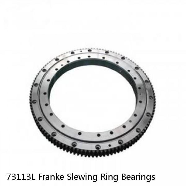 73113L Franke Slewing Ring Bearings