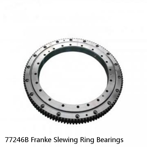 77246B Franke Slewing Ring Bearings