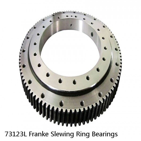 73123L Franke Slewing Ring Bearings