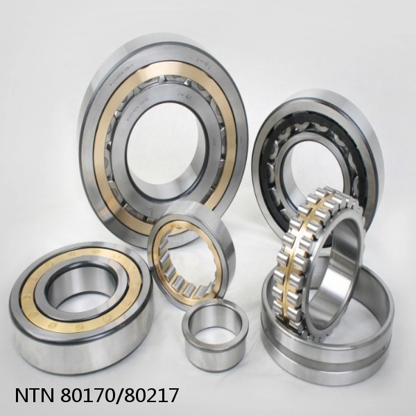 80170/80217 NTN Cylindrical Roller Bearing