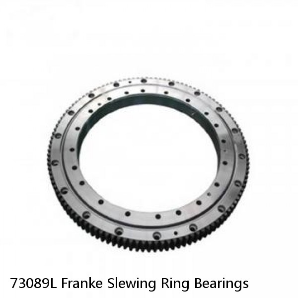 73089L Franke Slewing Ring Bearings